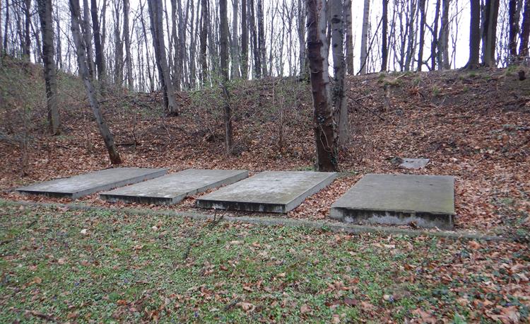 Cmentarz rodzinny na Kaplicznym Wzgórzu (4).JPG