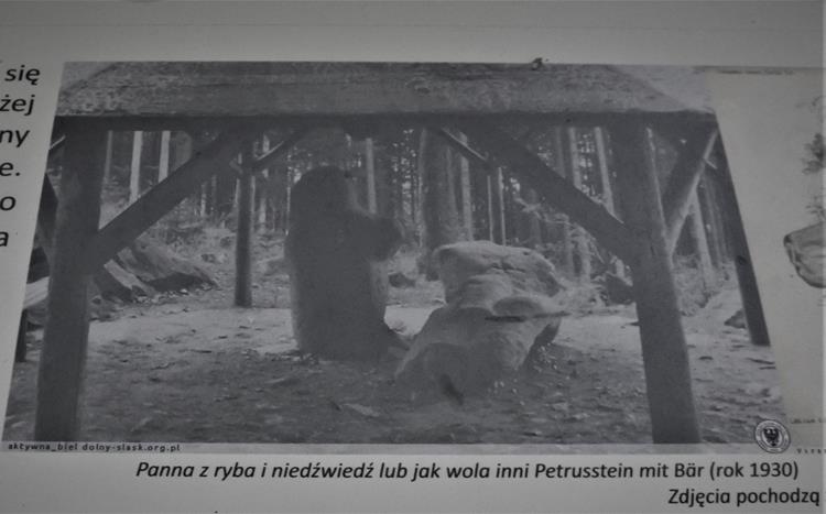Niedźwiadek (7).JPG