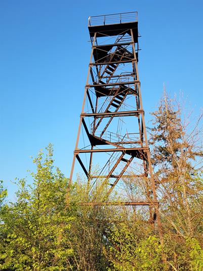 Wieża obserwacyjna (10).jpg