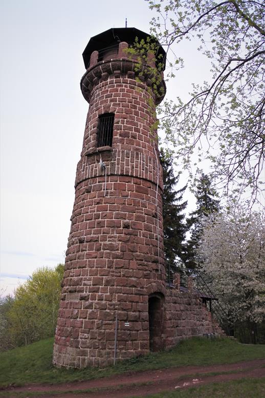 Wieża widokowa (7).JPG