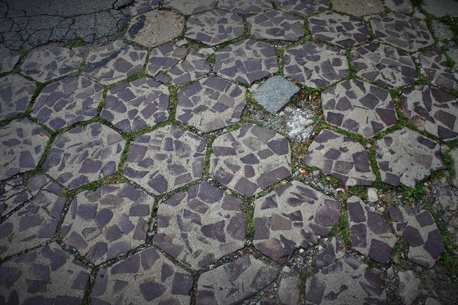 Trylikna z kamieniołomu w Miękini (1).JPG