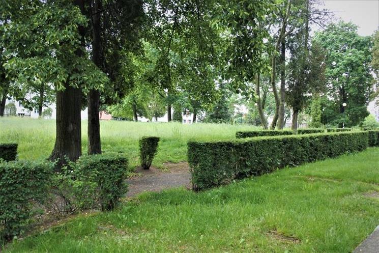 Cmentarz ewangelicki (2).JPG