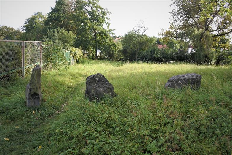 Teren cmentarza latem 2020 roku (5).JPG