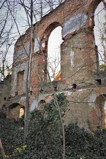 Ruiny kościoła ewangelickiego (7).JPG