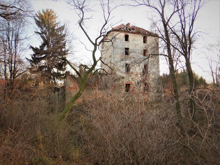 Zamek w Ciepłowodach (6).JPG