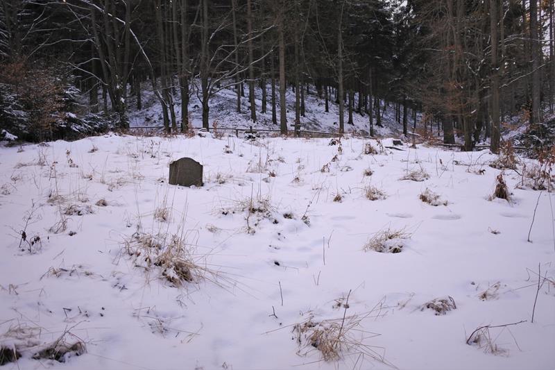 Leśny cmentarz (3).JPG