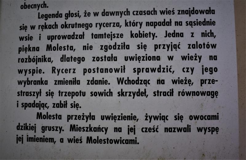 Molestowice (3).JPG