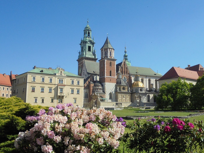 Wawel katedra widok ogolny.JPG