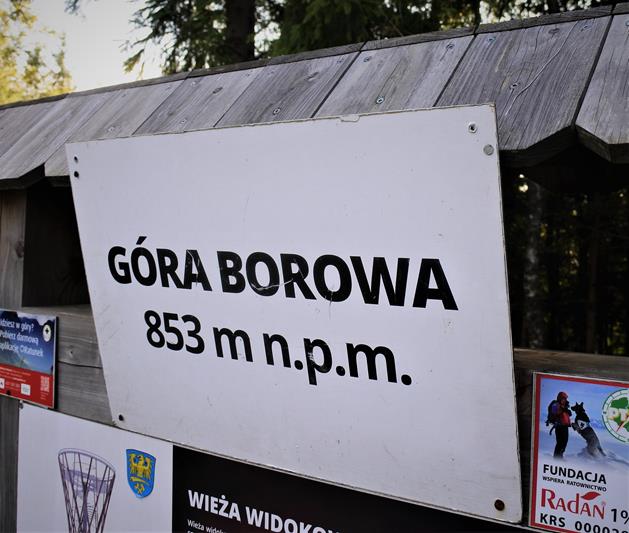 Borowa - wieża widokowa (2).JPG