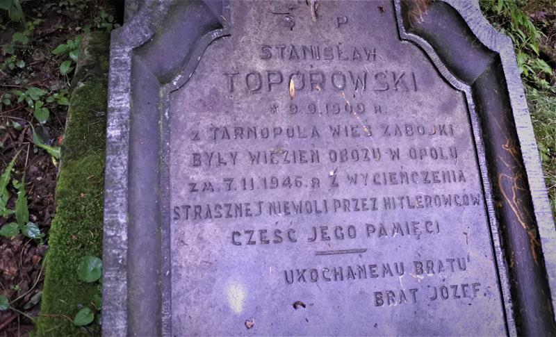 Cmentarz ewangelicki (17).JPG