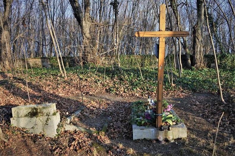 Gołaszyce - zapomniany cmentarz (10).JPG