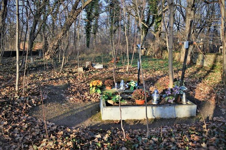 Gołaszyce - zapomniany cmentarz (11).JPG