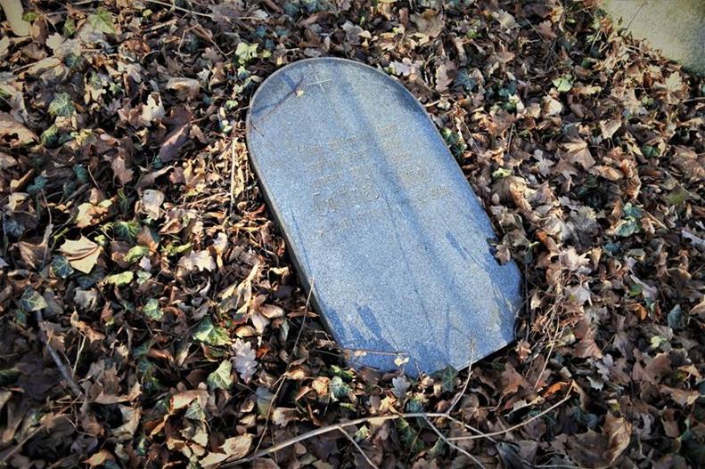 Gołaszyce - zapomniany cmentarz (12).JPG