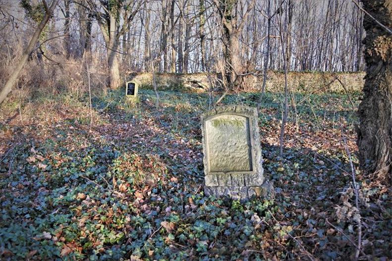 Gołaszyce - zapomniany cmentarz (18).JPG