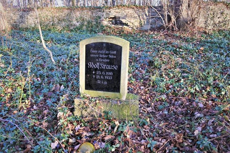 Gołaszyce - zapomniany cmentarz (30).JPG