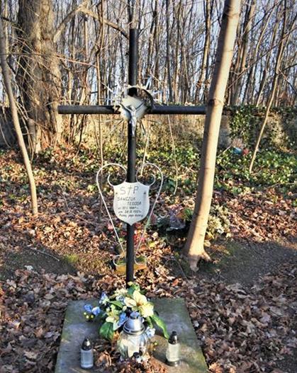Gołaszyce - zapomniany cmentarz (31).JPG