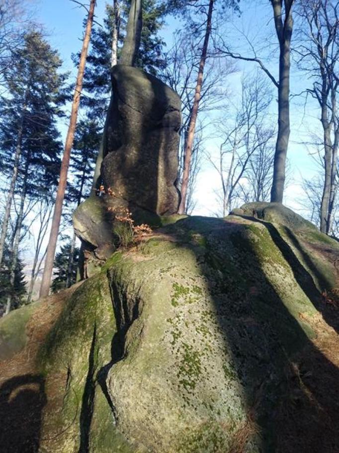 6. Kamień Żółw - fot. Czech.jpg