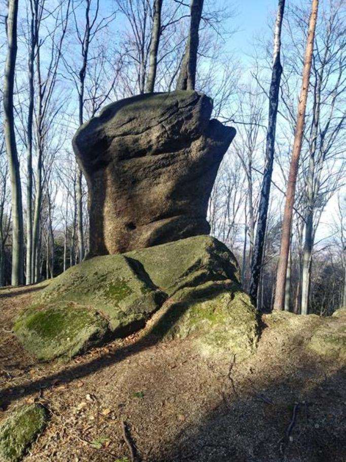 7. Kamień Żółw - fot. Czech.jpg