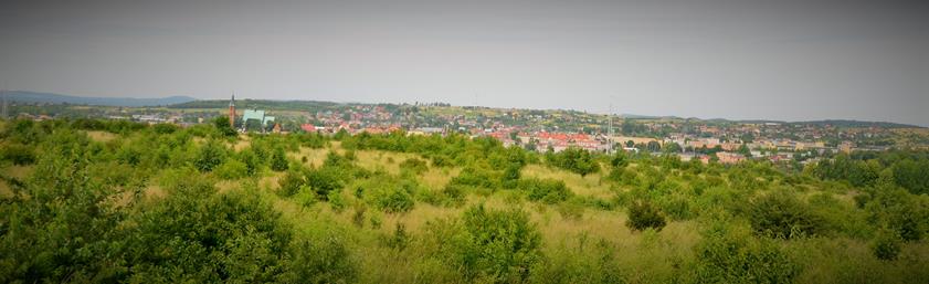 Panorama Olkusza.JPG