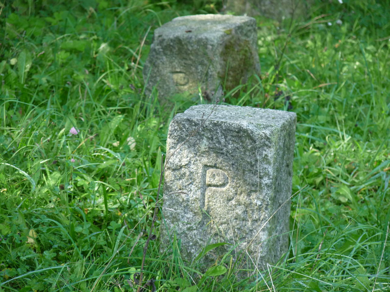 Kamienie graniczne w Koszecinie.jpg