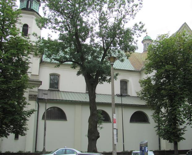Kościół Bernardynów - 8.JPG