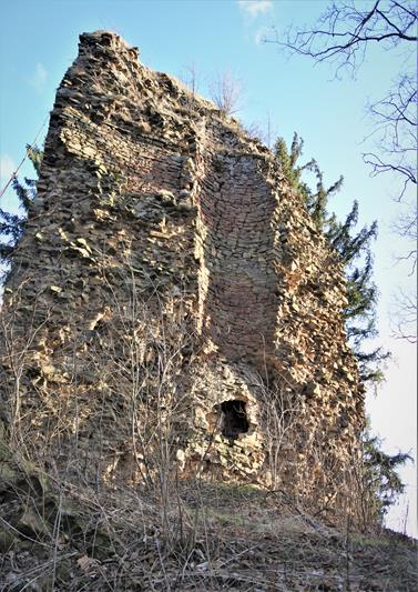 Czarny Bór - ruiny zamku (8).JPG