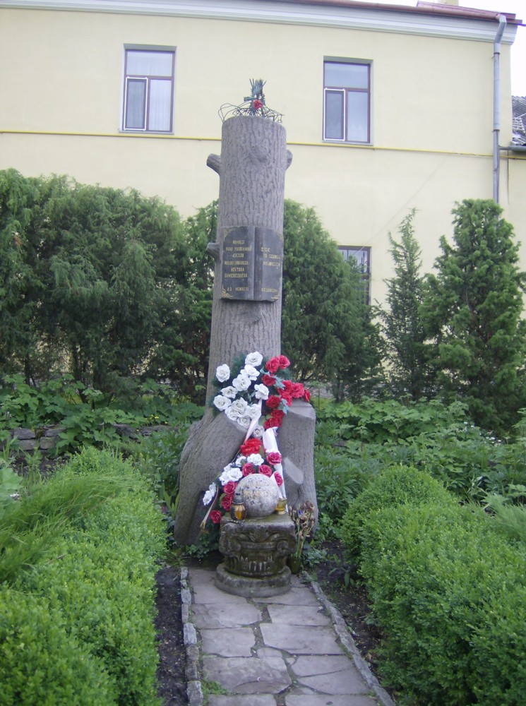 4 pomnik_j_m_wolodyjowskiego.JPG