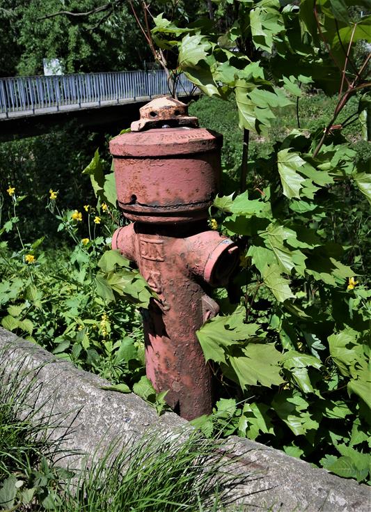 Hydrant (4).JPG