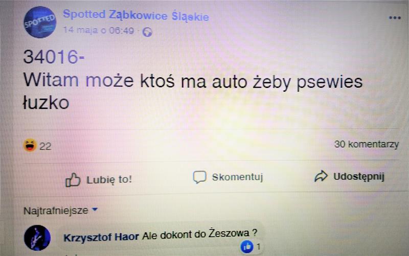 Spotted Ząbkowice Śląskie.jpg