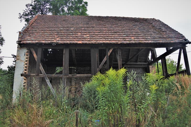 Ruiny stodoły (3).JPG