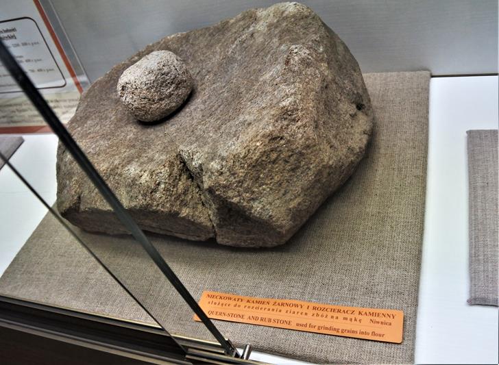 Kamień żarnowy i rozcieracz (1).JPG