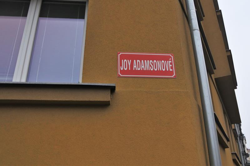 Joy Adamsonové 15 (4).JPG
