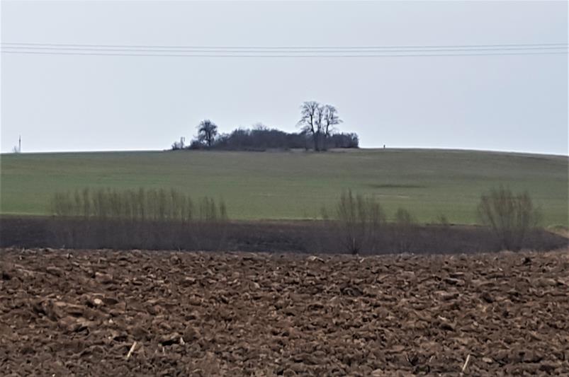 Windmühlberg.jpg