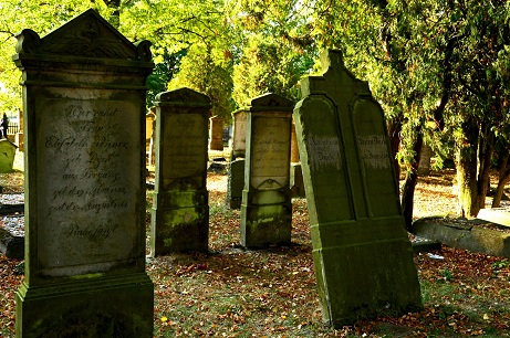 cmentarz-mennonicki-w-stogach-malborskich.jpg