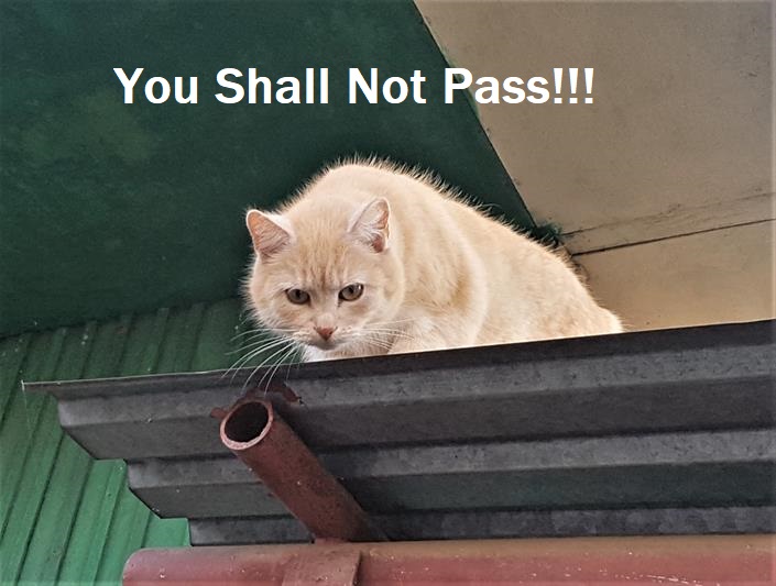 You Shall Not Pass.jpg