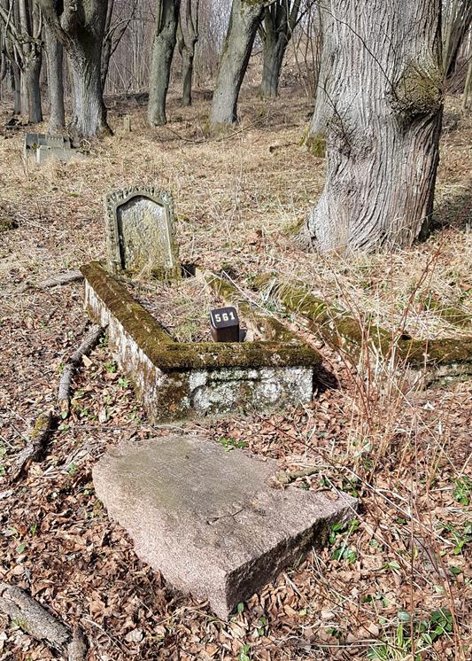Stary cmentarz w Sierpnicy (7).jpg