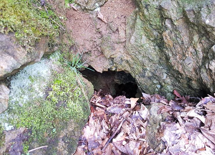 Jaskinia przy torach (1).jpg
