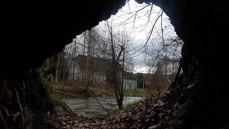 Jaskinia przy Rzece (10).jpg