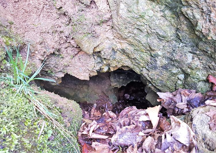 Jaskinia przy Torach (5).jpg