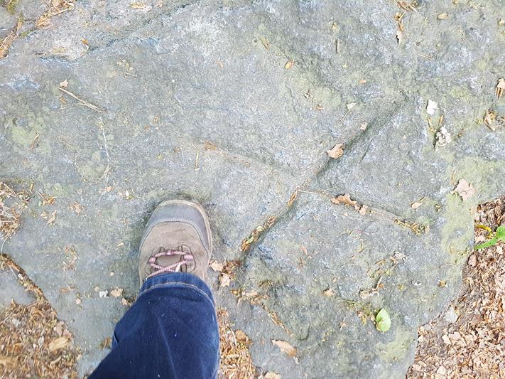 Kamienny krzyżyk w skale (3).jpg
