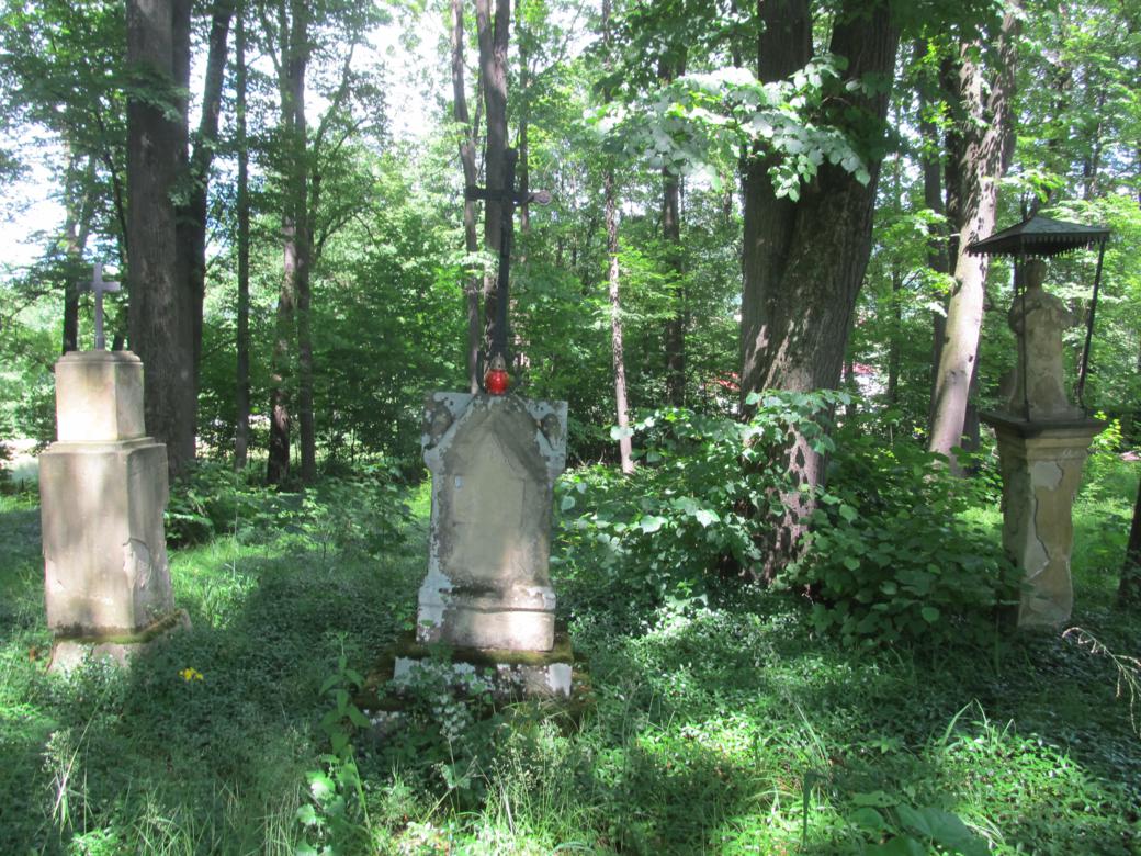 Stary cmentarz w Nawojowej (1).jpg