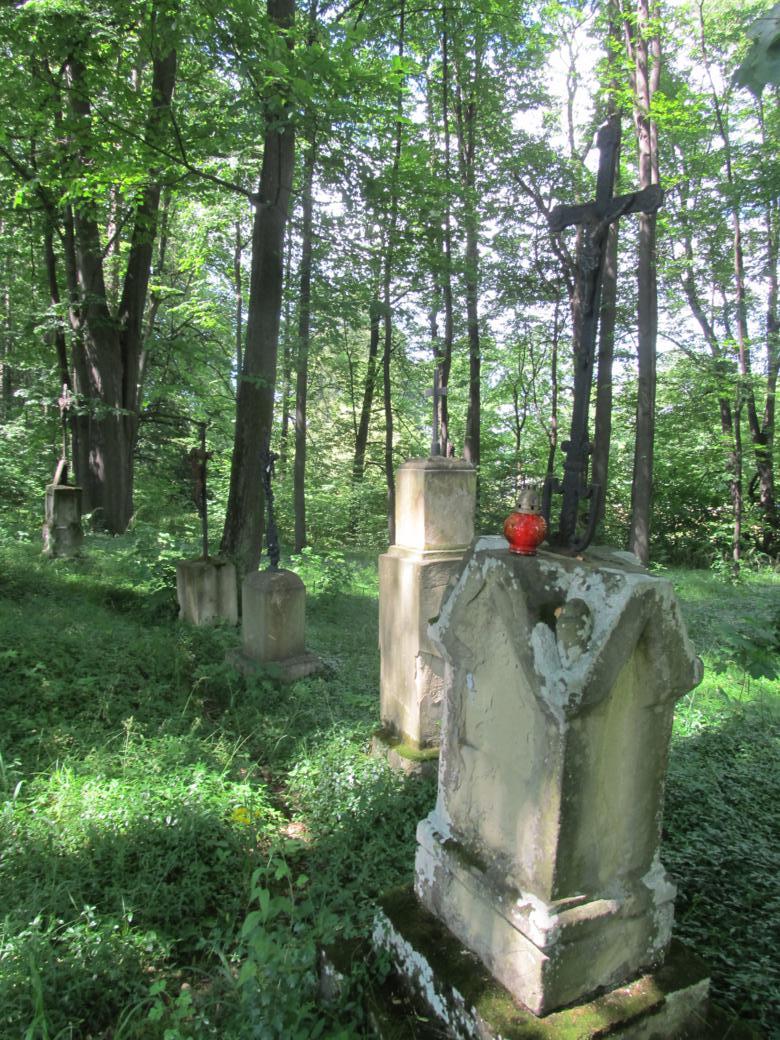 Stary cmentarz w Nawojowej (3).jpg