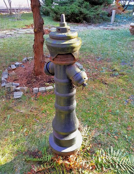 Hydrant w wirydarzu (1).jpg