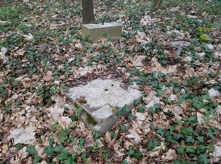 Cmentarz ewangelicki (4).jpg