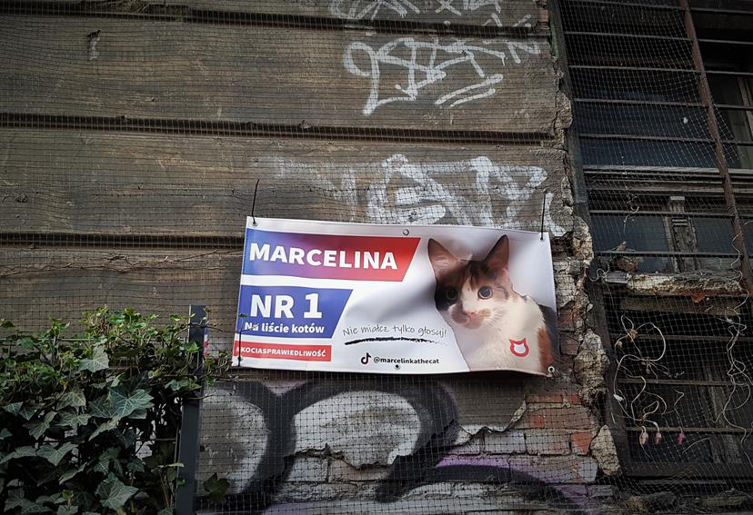 Marcelina (2).jpg