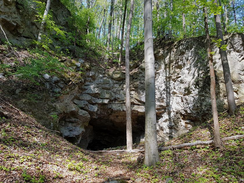 Jaskinia w Podzamku (2).jpg