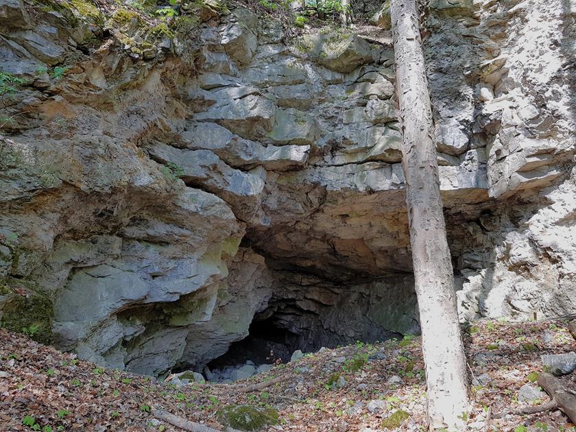 Jaskinia w Podzamku (3).jpg