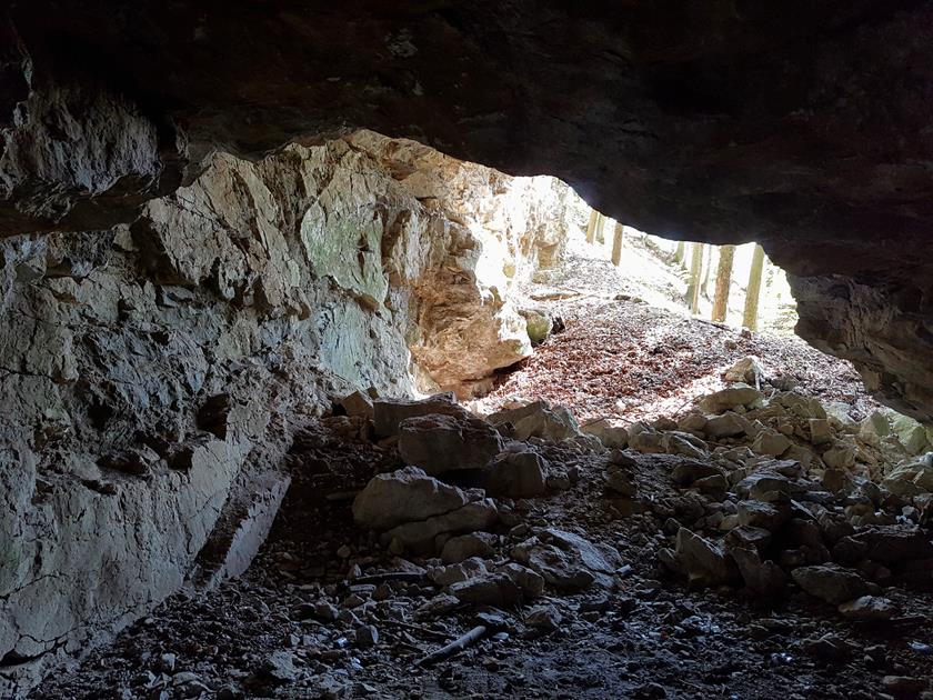 Jaskinia w Podzamku (8).jpg