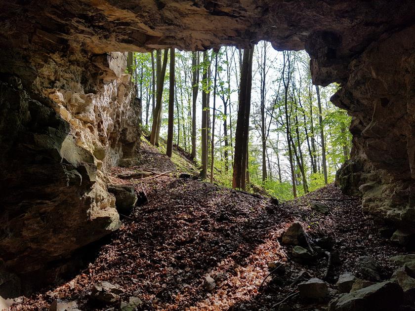 Jaskinia w Podzamku (10).jpg