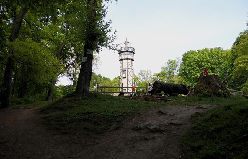 Wieża na Gromniku (14).JPG